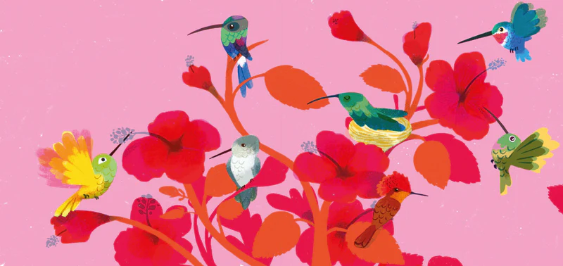 Libro: Tucusito - Image 3