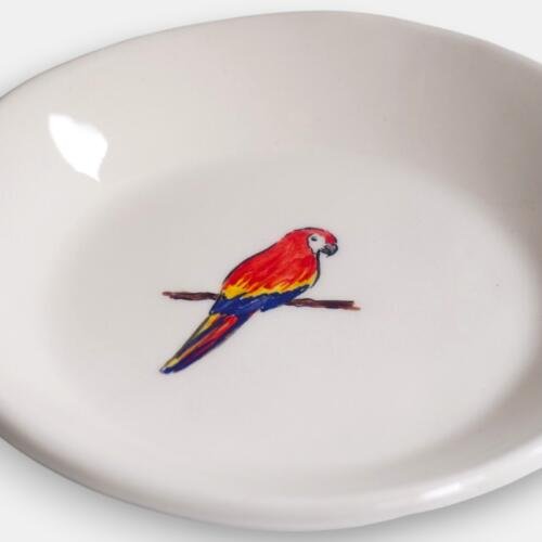 Plato: Guacamaya